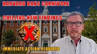 🔴Big News: Full Ban On Carnivore [New Harvard Recommendations]