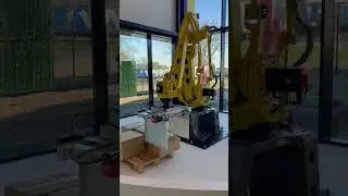 Need a strong helper for your palletising process? 💪