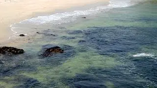 Using feathers and bone fragments, scientists paint a picture of the ocean&rsquo;s past