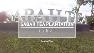 Sabah Tea Plantation, Malaysia #ExploreSabah