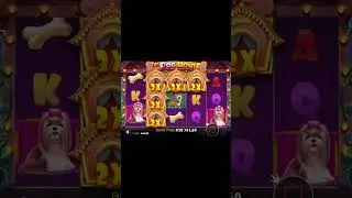 Cобаки дали кэш #bigwin #casino #subscribe #share #maxwin