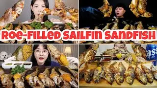 Satisfying ROE-FILLED SAILFIN SANDFISH 🐟✨ | ASMR Mukbang Best Compilation #1 | Snacky Lion🦁