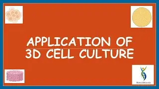 Applications of 3D Cell Culture | 3D Cell Culture Applications | Uses of 3D Cell Culture