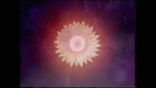 D&eacute;but de VHS Ripoux 3 (2003/2004)