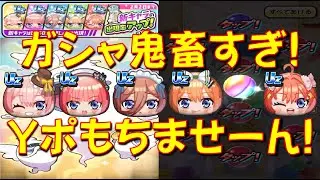 【UZ0.2%コンプは、Yポイントなくなる!】一花、二乃、三玖、四葉、五月バレンタイン狙って初日ガシャ回す!　五等分の花嫁コラボ第二弾　妖怪ウォッチぷにぷに Yo-kai Watch