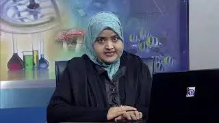School Health Education Program