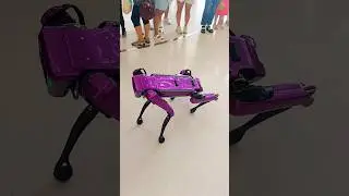DUBAI Museum Of Future , Robotic Dog 🇦🇪