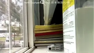Christer Edwards Live Stream