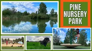 Is this the BEST DOG park in ALL of Bend, Oregon?!? TONS of other things too | SOLO Female traveler