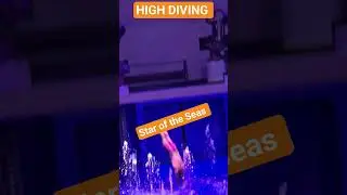 Torque  - Star of the Seas #susieandreginaadventures #staroftheseas #torque #cruising #highdiving