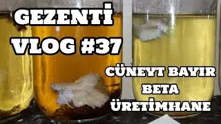 Gezenti Vlog #37 (Cüneyt Bayır - Beta Üretimhane) (Muğla)