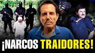 Los 4 PEORES TRAIDORES del Mundo NARCO que REVELARON TODO para CAPTURAR a sus JEFES