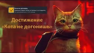 [Stray] Достижение 