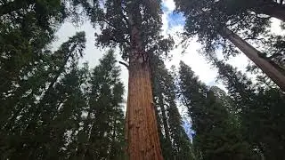 General Sherman