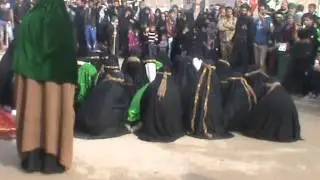 موكب زينب الهاشميه / البصره  الجمعيات 2015