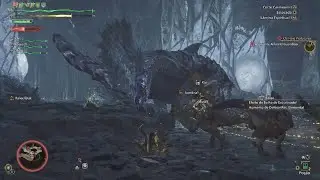 Monster Hunter Wilds ep 11