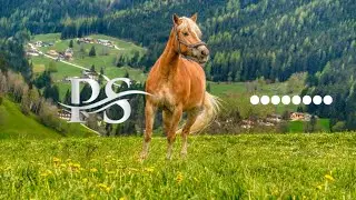Futuristic Beat [PS Peaceful Sounds Premium Free Copyright Music] #FuturisticBeat