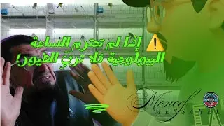 ⚠️ إذا لم تحترم الساعة البيولوجية فلا تُربِّ الطيور!