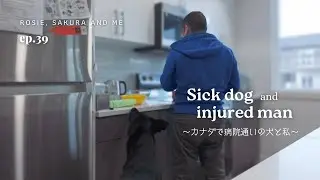 新年早々カナダで病院に通う犬と私｜カナダ・エドモントンでの暮らし