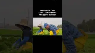 Medicaid for farm labor? Trump admin&lsquo;s plan sparks backlash