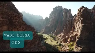 WADI DISSA TABUK وادي الديسة منطقة تبوك