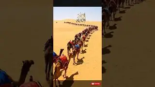 Power of Allah الله  🕋🤲🌟 #allah #quran #dua #islamicvideo #viralshort #fast