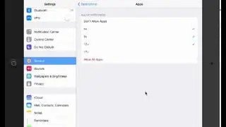 iOS 7 Restrictions