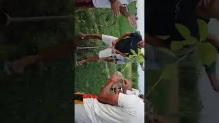 ground cleaning and planting new trees in Basantkot