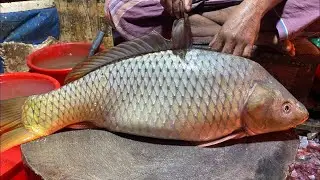 Real Fish Blogger // 