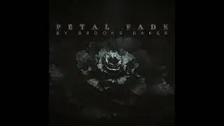Petal Fade | Miltonia