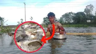 Easy way to catch river side fish