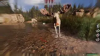 Far Cry 5 - Ghost Moose get shoveled