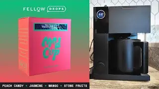 Disco Peach Connection by ModCup COFFEE REVIEW | Peach Candy, Jasmine, Mango, Stone Fruit ☕️