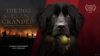 Sergeant Gander &ndash; The Newfoundland Dog Hero of World War II 1
