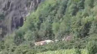 Düzköy Köyü - Şalpazarı - Trabzon - Agasar.Net