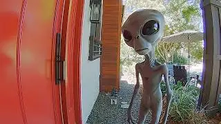 DOORBELL VISITORS | Veo 3
