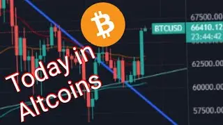TODAY in ALTCOINS May 15 Rally Wrap, BTC & Alts Rally Green