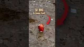 Ballistic Dummy Head VS 50 BMG *Test*