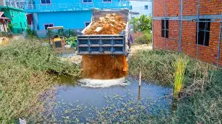 Start a New Project! Landfill Delete Pond Area By Bulldozer & 5Ton Truck Pushing Stone into Water