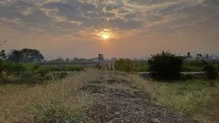 A dog's point of view | Short cinematic clip.