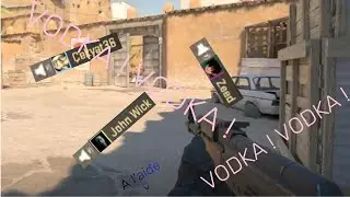 CS2 avec des russes