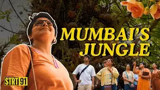 Lost Stories of Mumbai&rsquo;s Trees