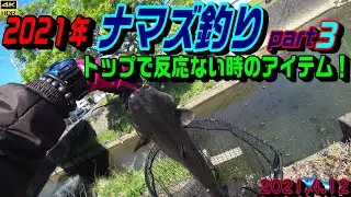 2021年 ナマズ釣り part３　トップルアーで反応ないときのアイテム　2021.4.12