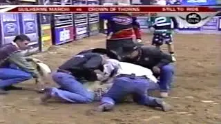 PBR 2005: Little Yellow Jacket Knocks Out Brian Courson