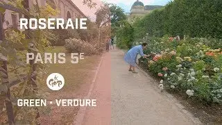 ⁴ᴷ Walking PARIS &ndash; JARDIN DES PLANTES, Rose garden