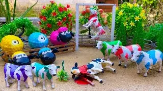 Proses Potong Sapi Qurban !! Wadidaw Proses Cow Cartoon