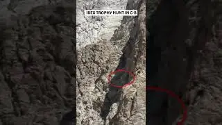 Ibex (Markhor) Hunting at Gilgit Baltistan Pakistan 🇵🇰