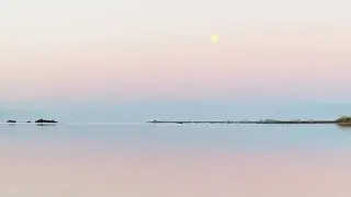 10 Hours Relaxing Bird Song at beach meadow in Sweden (no loop)