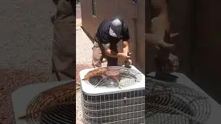 Day In The Life: AC Tune-Up Service 