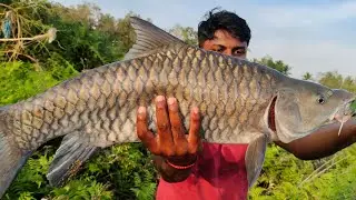 Fishing Mahseer in Indian Rivers | Insane Power 💥 | Bluefin Masheer #fishing #mahseer